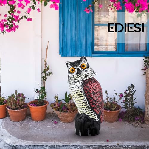 Thumbnail 6 de Ediesi Búho Espanta Palomas – Ahuyentador visual exterior con cabeza giratoria 360°