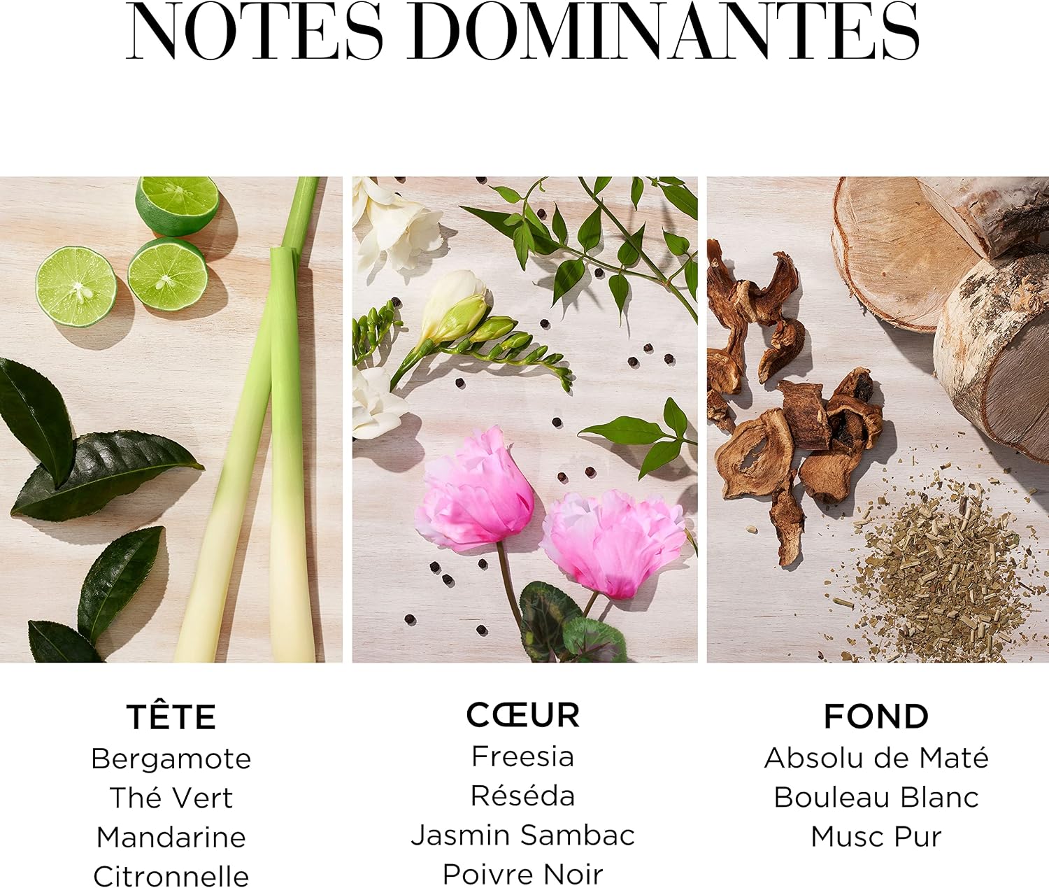 Detalle 2 de Elizabeth Arden Green Tea Citron Freesia Crème Nectar au Miel pour le Corps 500 ml