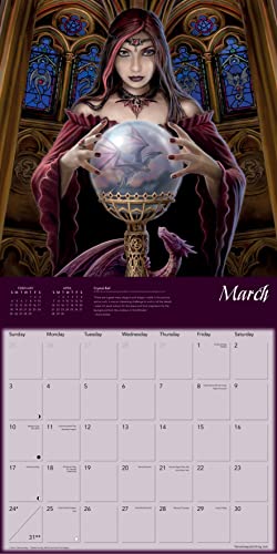 Detalle 1 de Dragons by Anne Stokes Wall Calendar 2024 📅