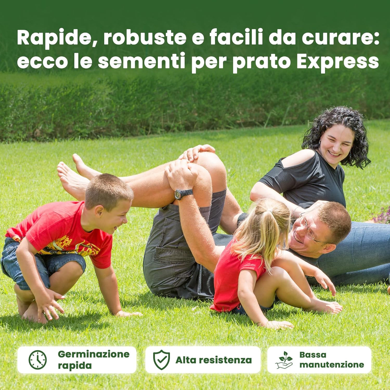 Thumbnail 2 de LERAVA® EXPRESS semi prato crescita rapida (30m²) – Giflo di prato resistente e verde tutto l’anno