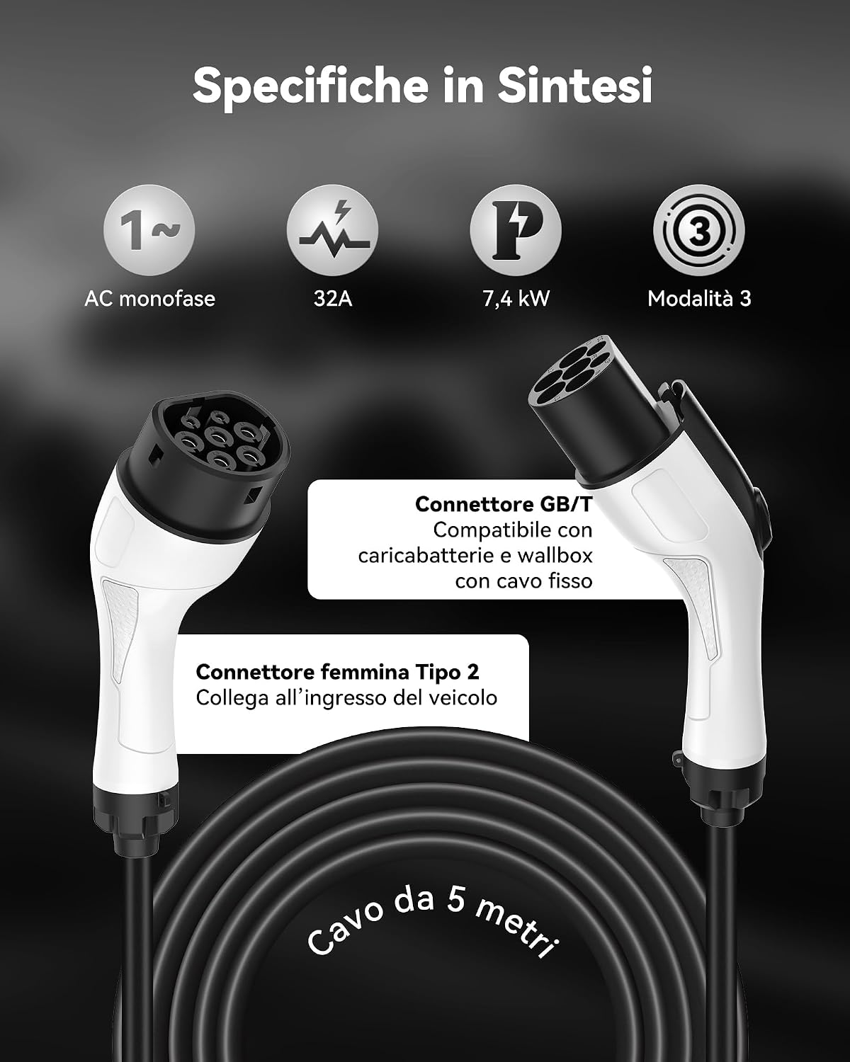 Detalle de RamTouch Cavo Prolunga Tipo 2 5 m