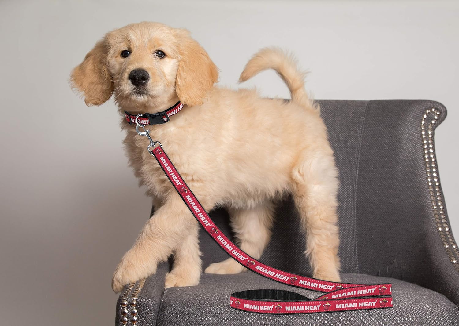 Detalle de NBA Miami Heat Heavy-Duty Dog Leash (Size Small) with Metal Swivel Buckle
