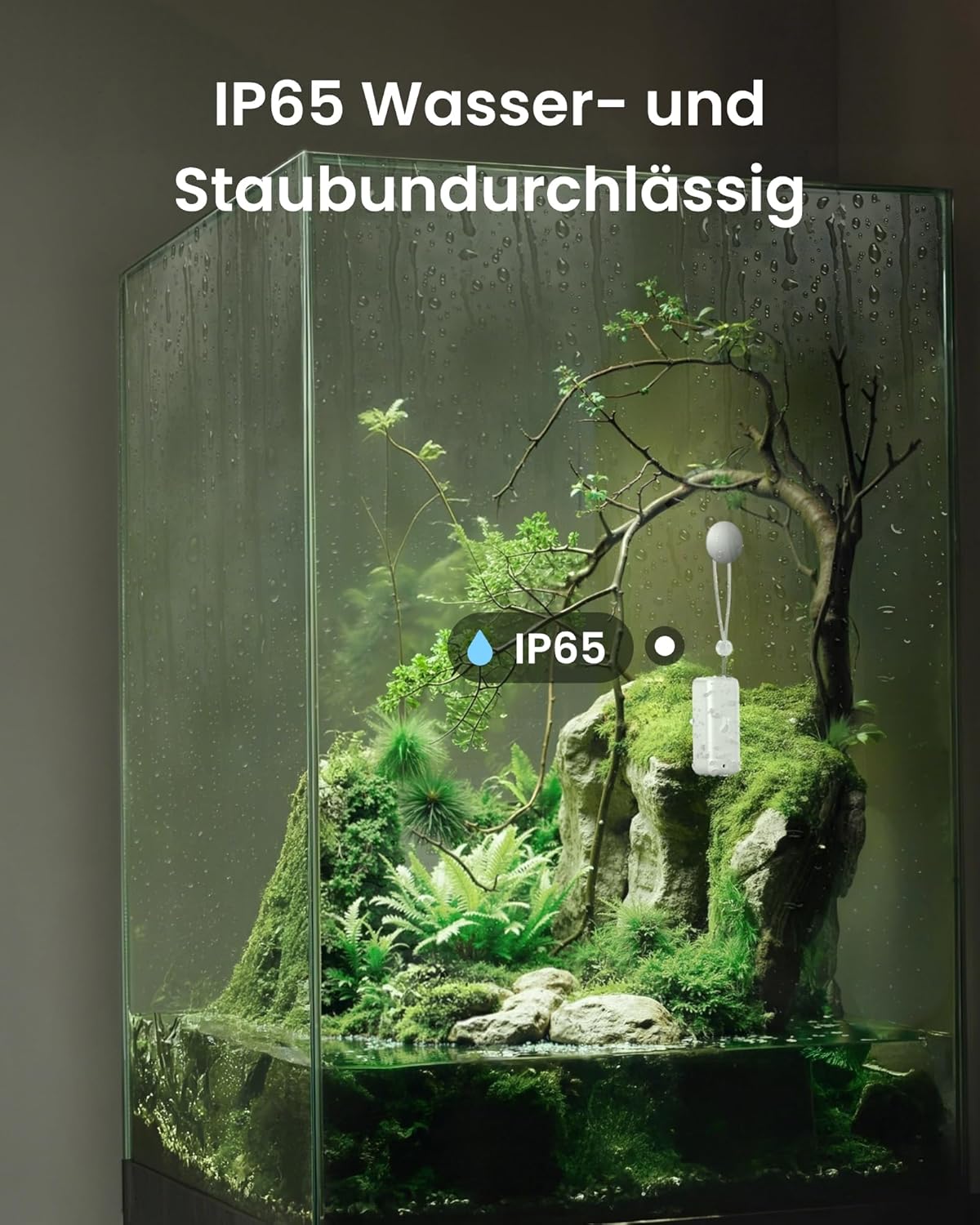 Detalle 2 de SwitchBot IP65 Hygrometer 3er-Pack đĄ