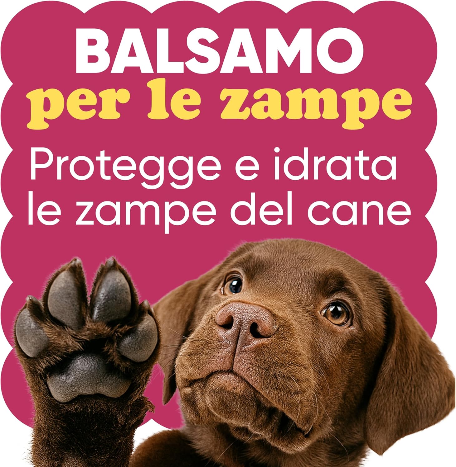 Thumbnail 1 de Crema Polpastrelli Cane per Inverno e Neve 70 ml – Oli di Moringa, Mandorla e Burro di Karité | Wellwoof