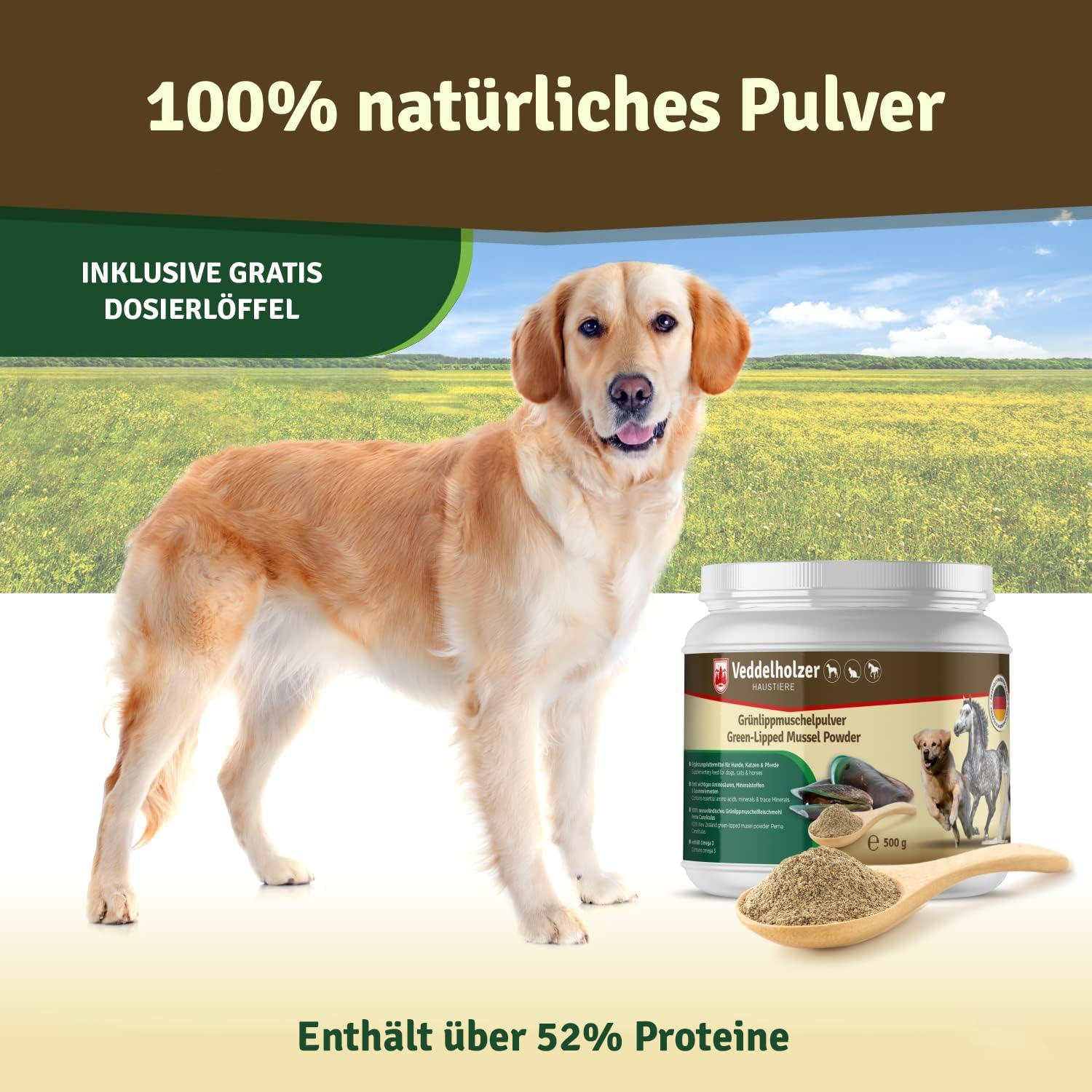 Thumbnail 6 de Veddelholzer Natürliches Grünlippmuschelpulver für Hunde (500 g) – natürliche Nahrungsergänzung mit Grünlippmuschelextrakt
