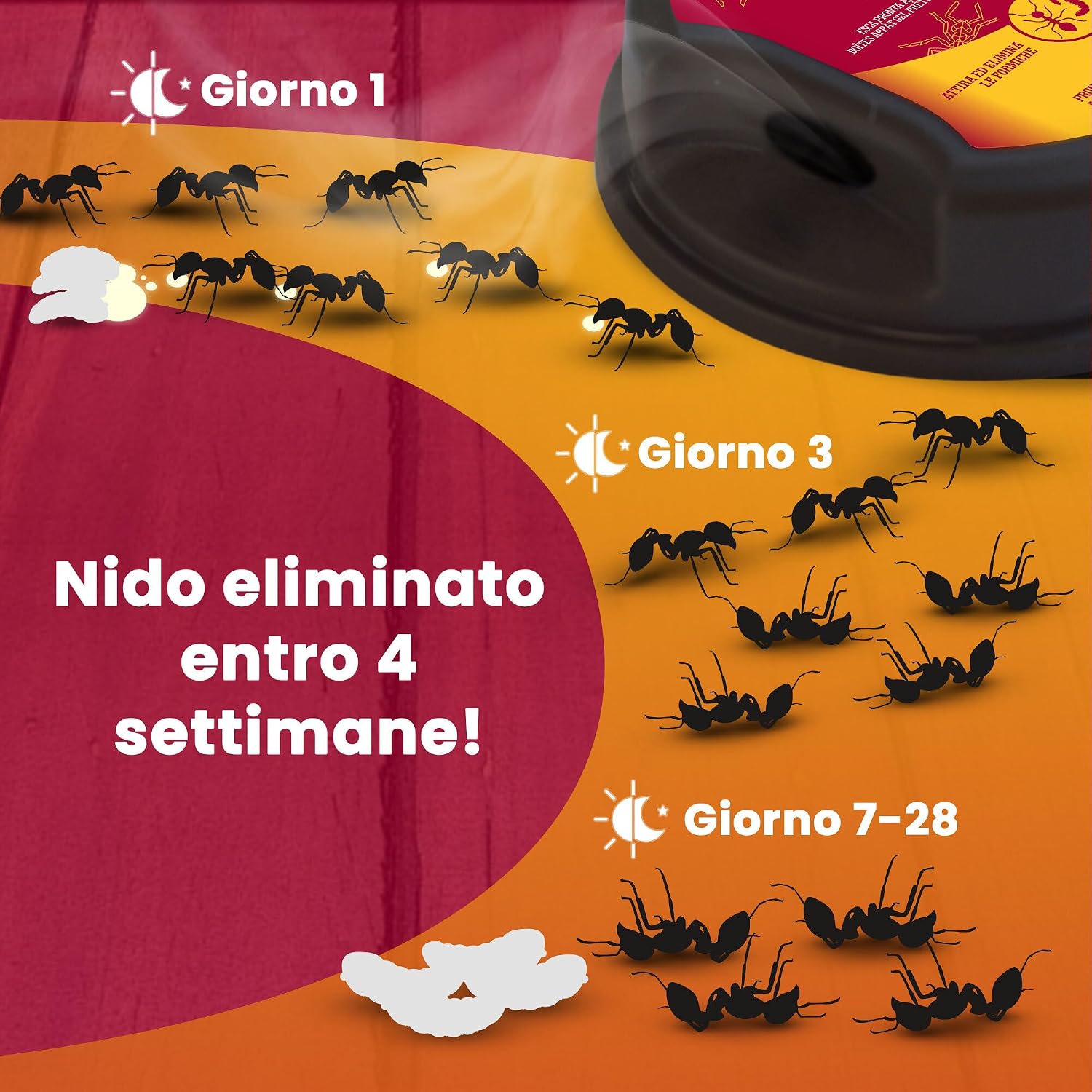 Detalle de LERAVA Trappole Formiche per Casa – Esche insetticida potenti, sicure per bambini e animali