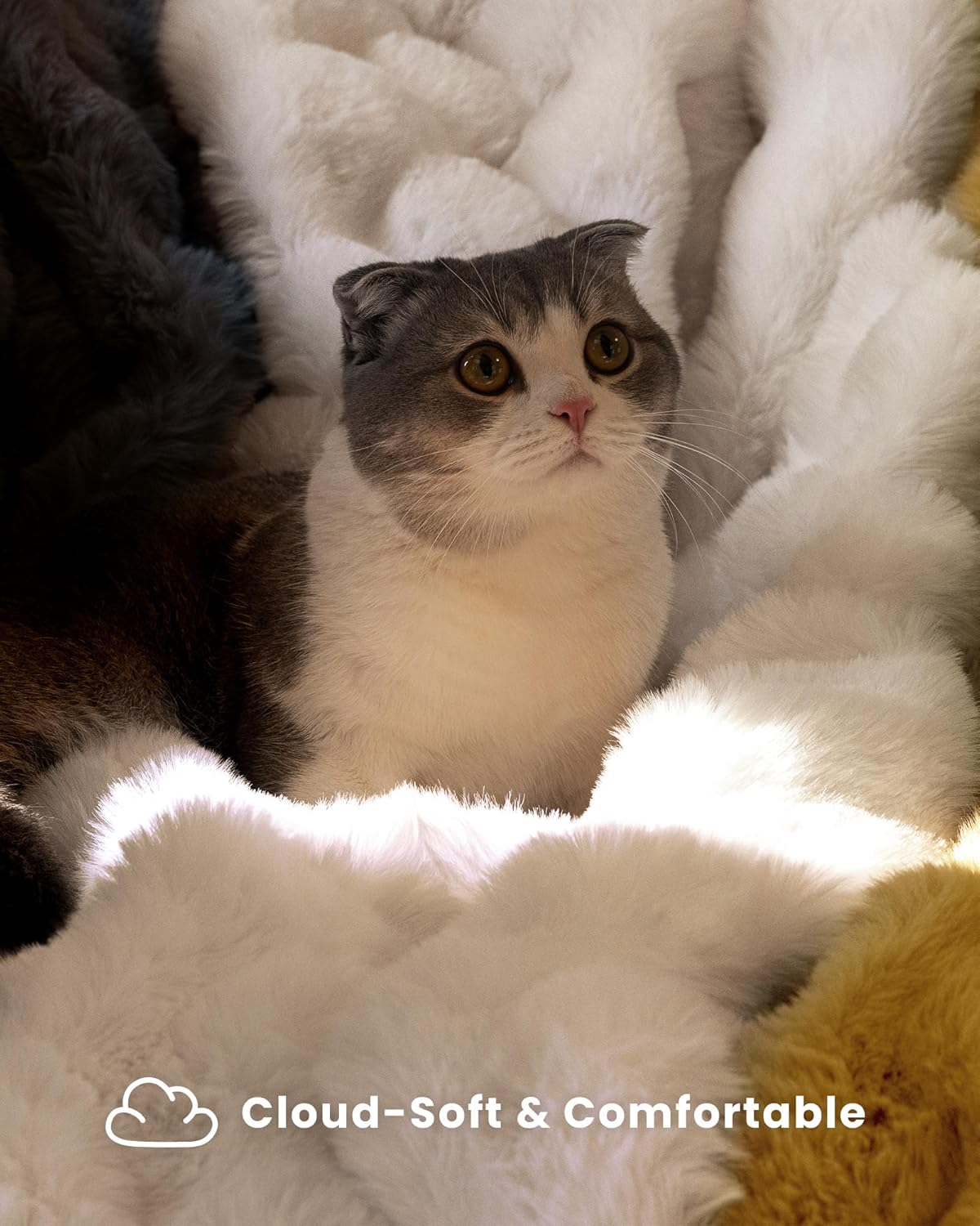 Thumbnail 2 de blunique Ultra Soft Faux Fur Throw Blanket 50x60