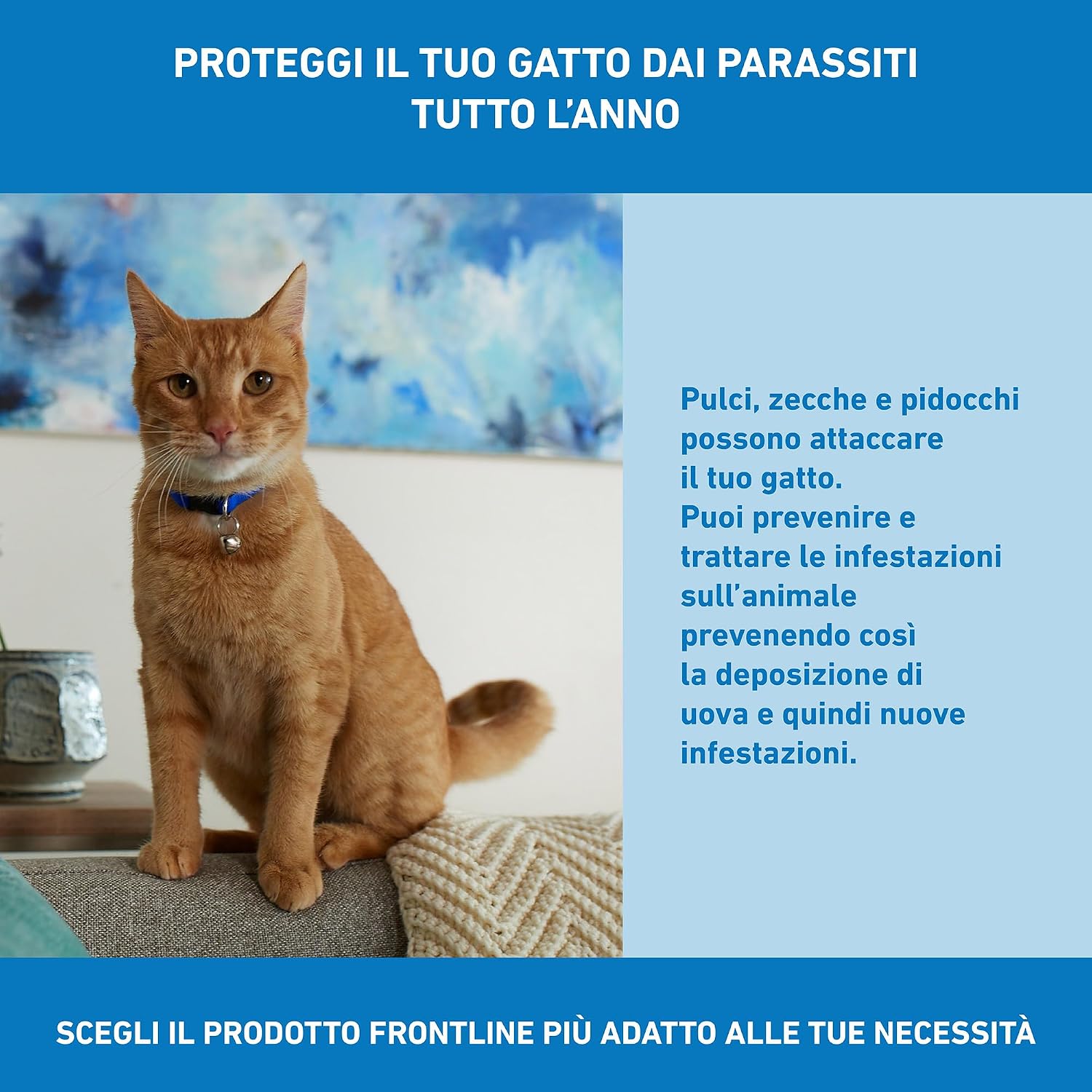 Detalle de FRONTLINE Spot On Gatti 6 Pipette da 0,5 ml: antipulci e antiparassitario per gatti e gattini