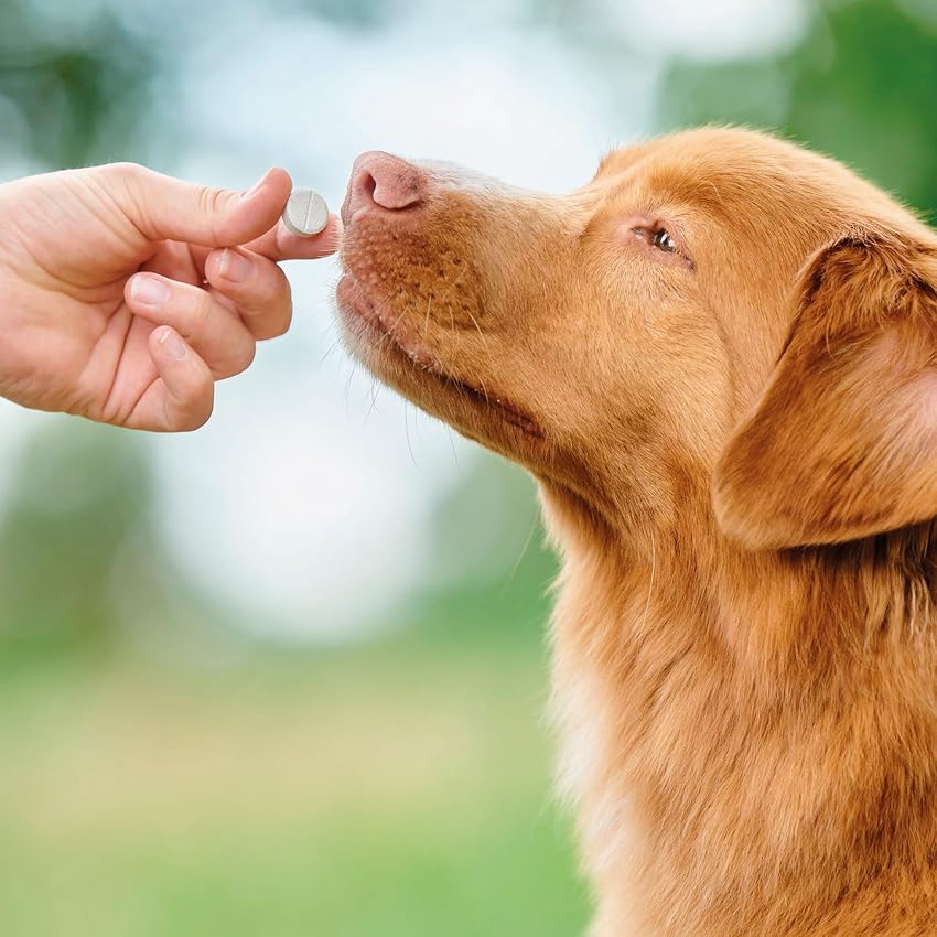 Thumbnail 5 de Beaphar VERMIpure Comprimidos para perros medianos y grandes 50 comprimidos