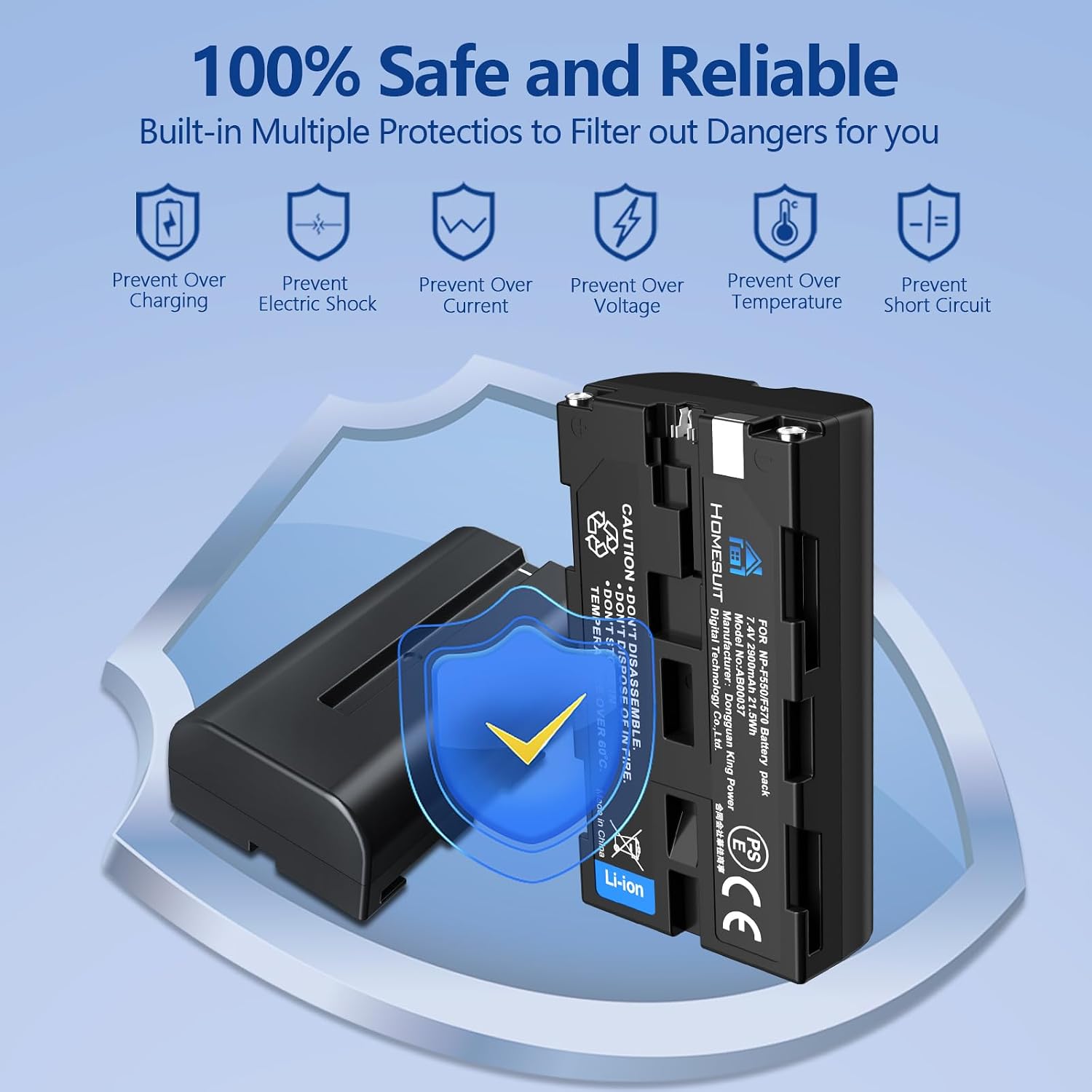 Detalle 2 de Homesuit NP-F550 2900mAh battery kit