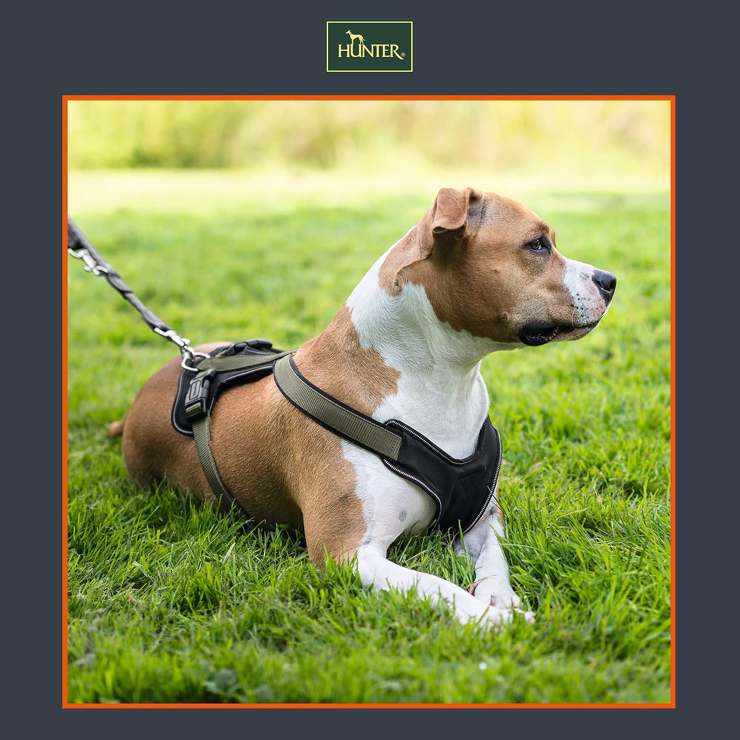 Detalle de HUNTER Hundegeschirr NEOPREN – Größe S, schwarz/grau, komfortables Polster-Nylon-Geschirr mit Reflektionsstreifen