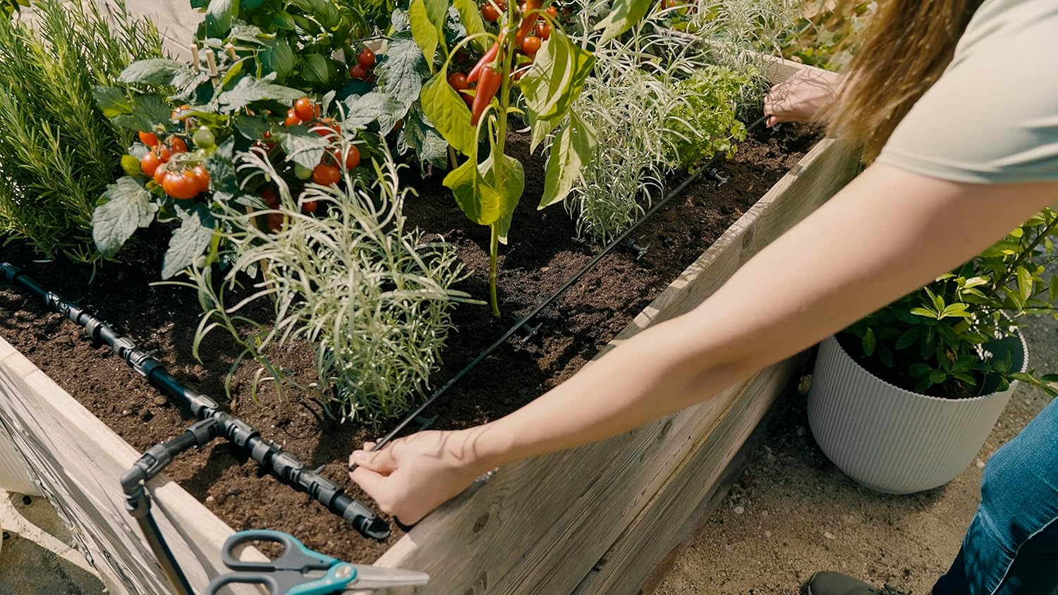 Thumbnail 2 de Gardena Micro-Drip-System Tropfbewässerung Set Hochbeet/Beet (35 Pflanzen) – 13455-20