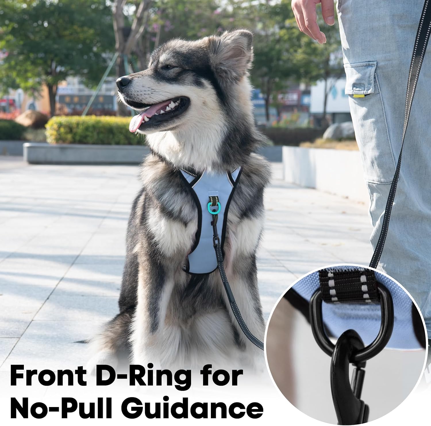 Detalle de No Pull Dog Harness with Reflective 2-Leash