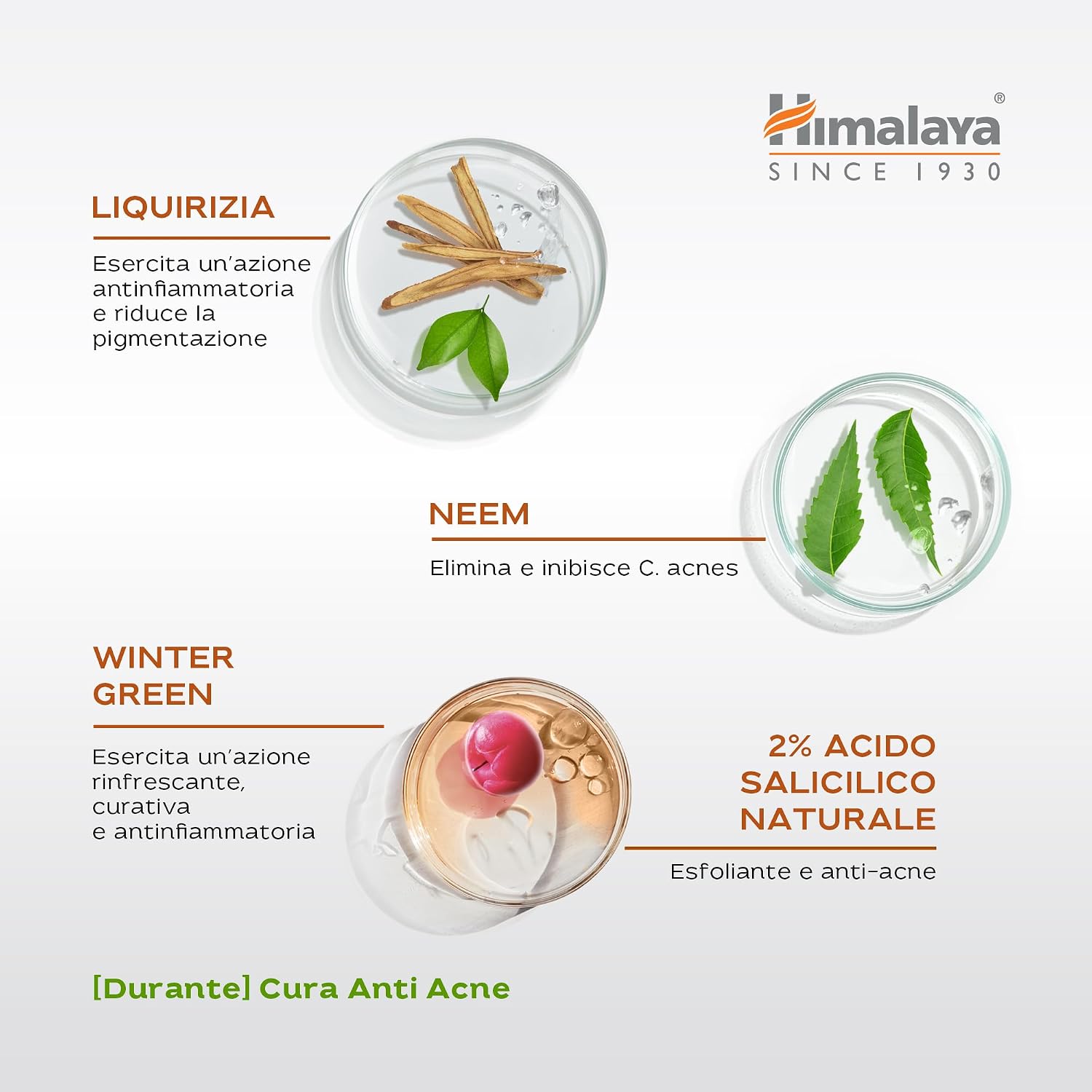Thumbnail 4 de Himalaya Acne Clear+ Treatment Pen: Correttore di precisione con acido salicilico al 2% e CICA (15 ml)