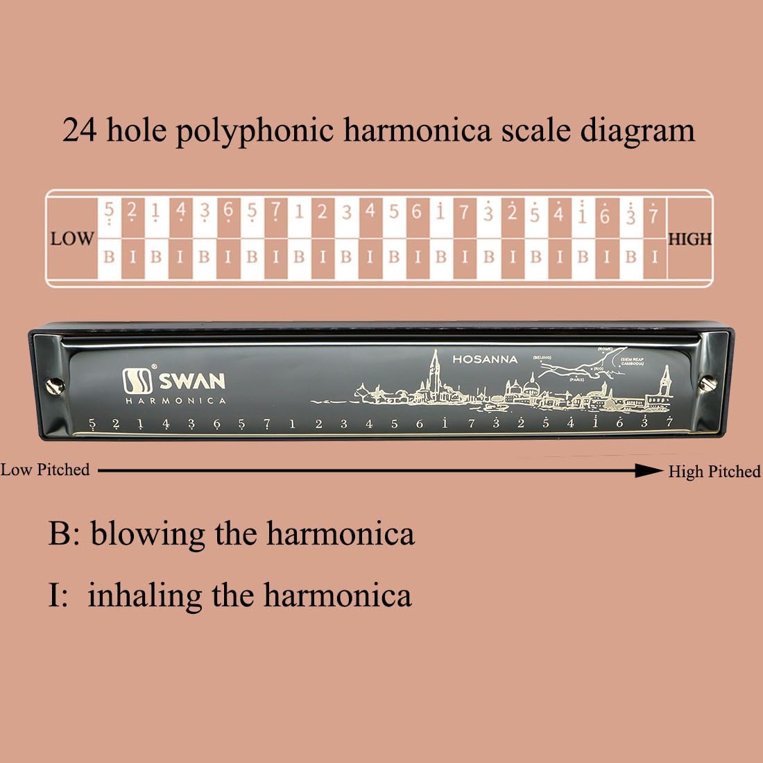 Detalle de Harmonica Mouth Organ Harp Armonica 24 Hole Key of C Diatonic Polyphonic Blues Harmonica