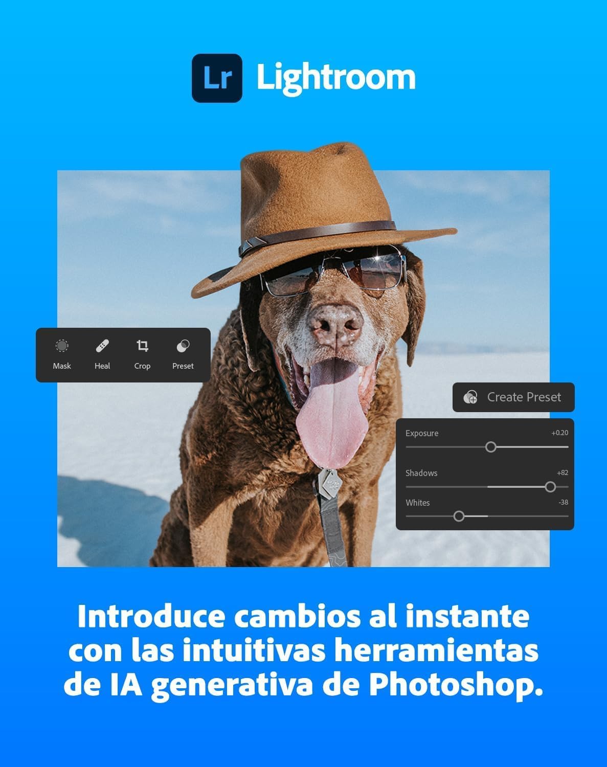 Detalle 2 de Adobe Creative Cloud Student | 1 Año | PC/Mac | 🖥️ Descarga Digital