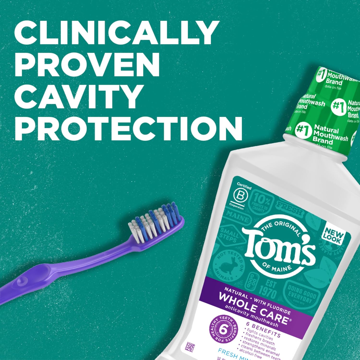 Detalle de Tom's of Maine Whole Care Natural Fluoride Mouthwash (Fresh Mint) – 16 oz Bottles, Pack of 3