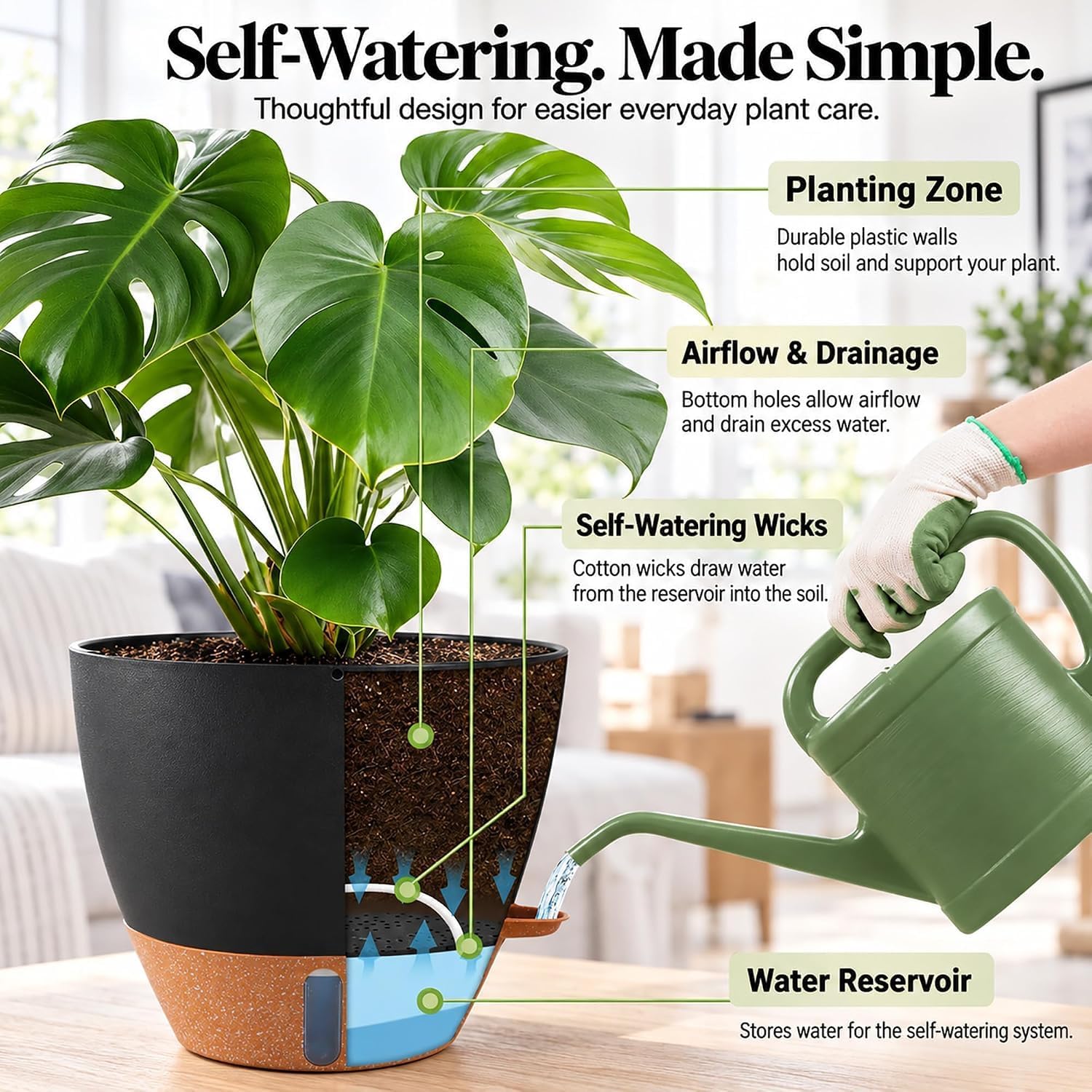 Detalle de Fielda 10-Inch Self-Watering Planters, 2-Pack with Water-Level Window