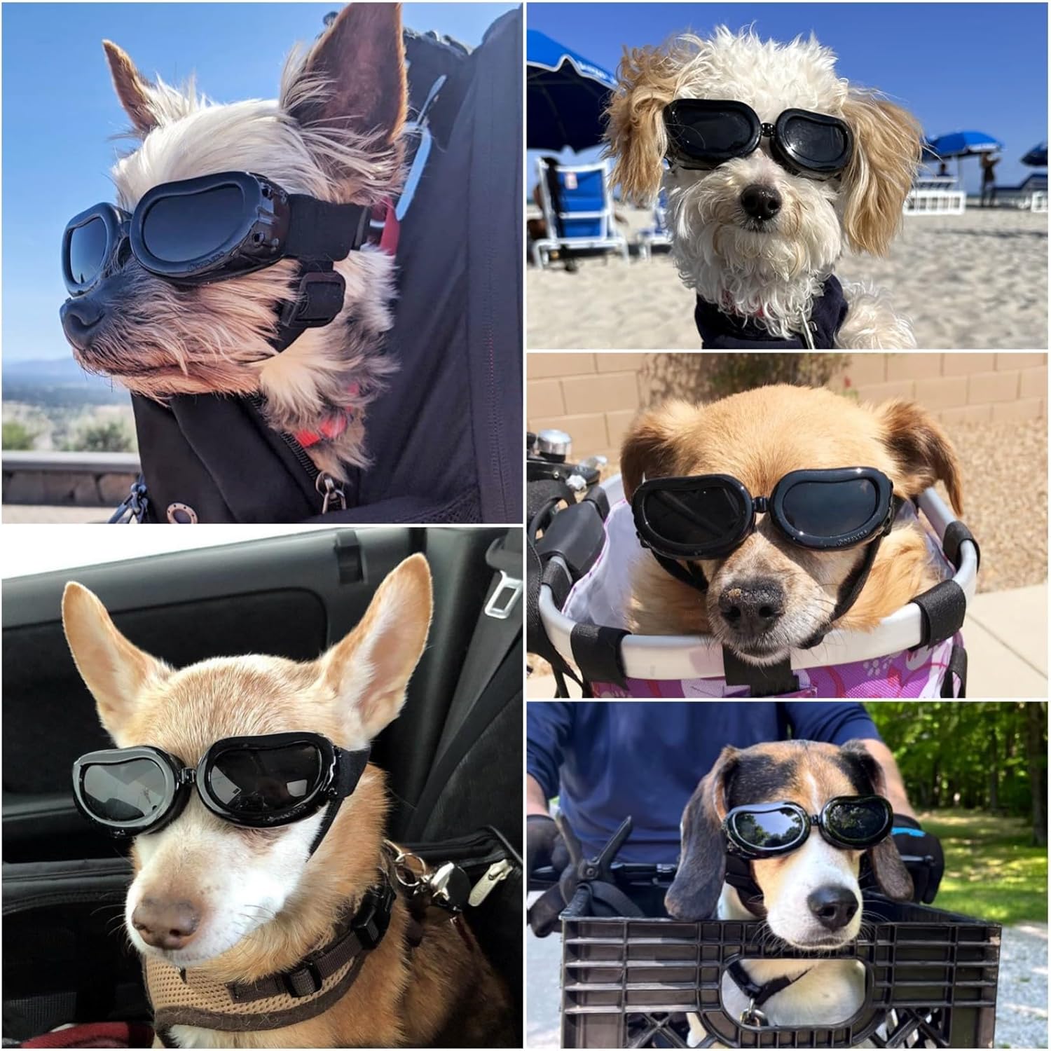 Thumbnail 1 de Enjoying Dog Goggles for Small Dogs – UV Protection Sunglasses with Windproof, Adjustable Straps (Black)