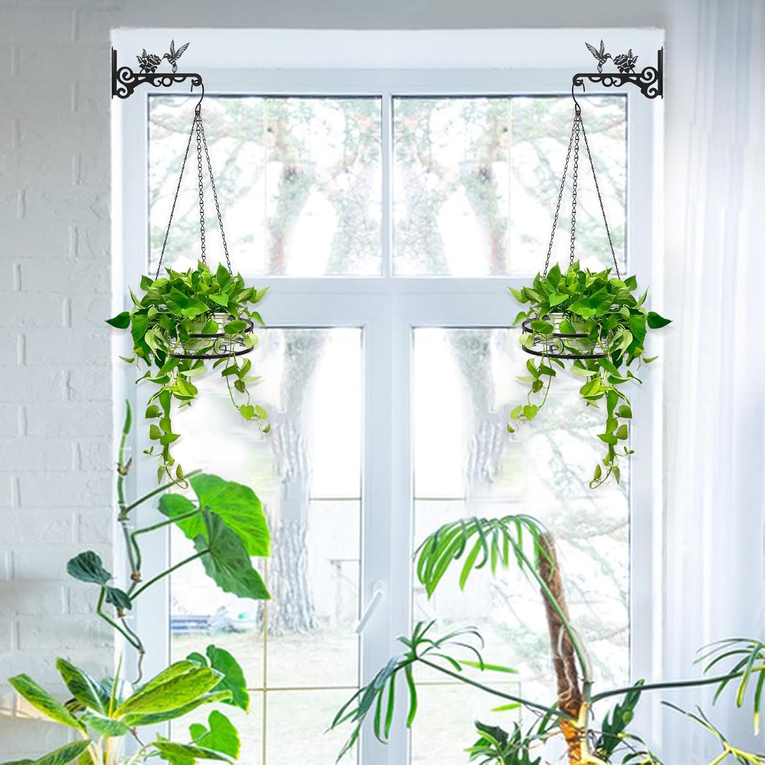 Thumbnail 1 de Ziwijity 2-Pack Iron Plant Hanger Wall Hooks (Black, 10 inch, 2 PCS)
