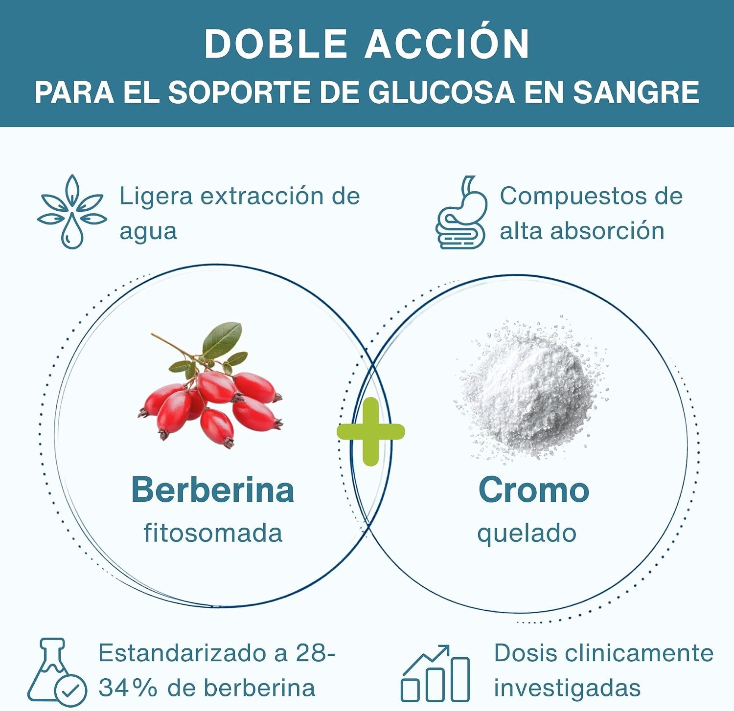 Detalle 1 de Igennus Berberina Fitosomada 550 mg