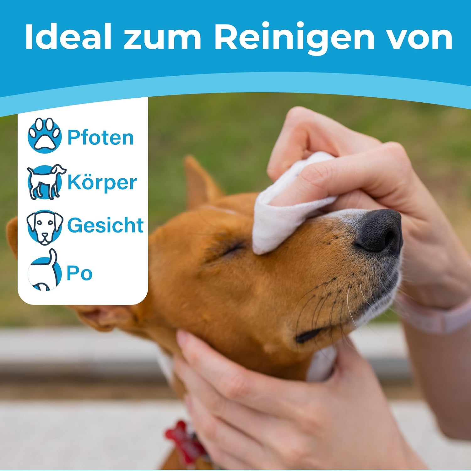 Thumbnail 5 de PrimePets Feuchttücher Hund & Katze – unparfümierte Pflegepads (6×100 Stück) für Hände, Pfoten, Gesicht und mehr