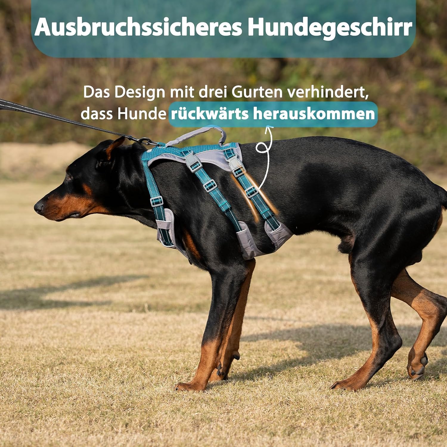 Detalle de Huntboo Sicherheitsgeschirr M đ