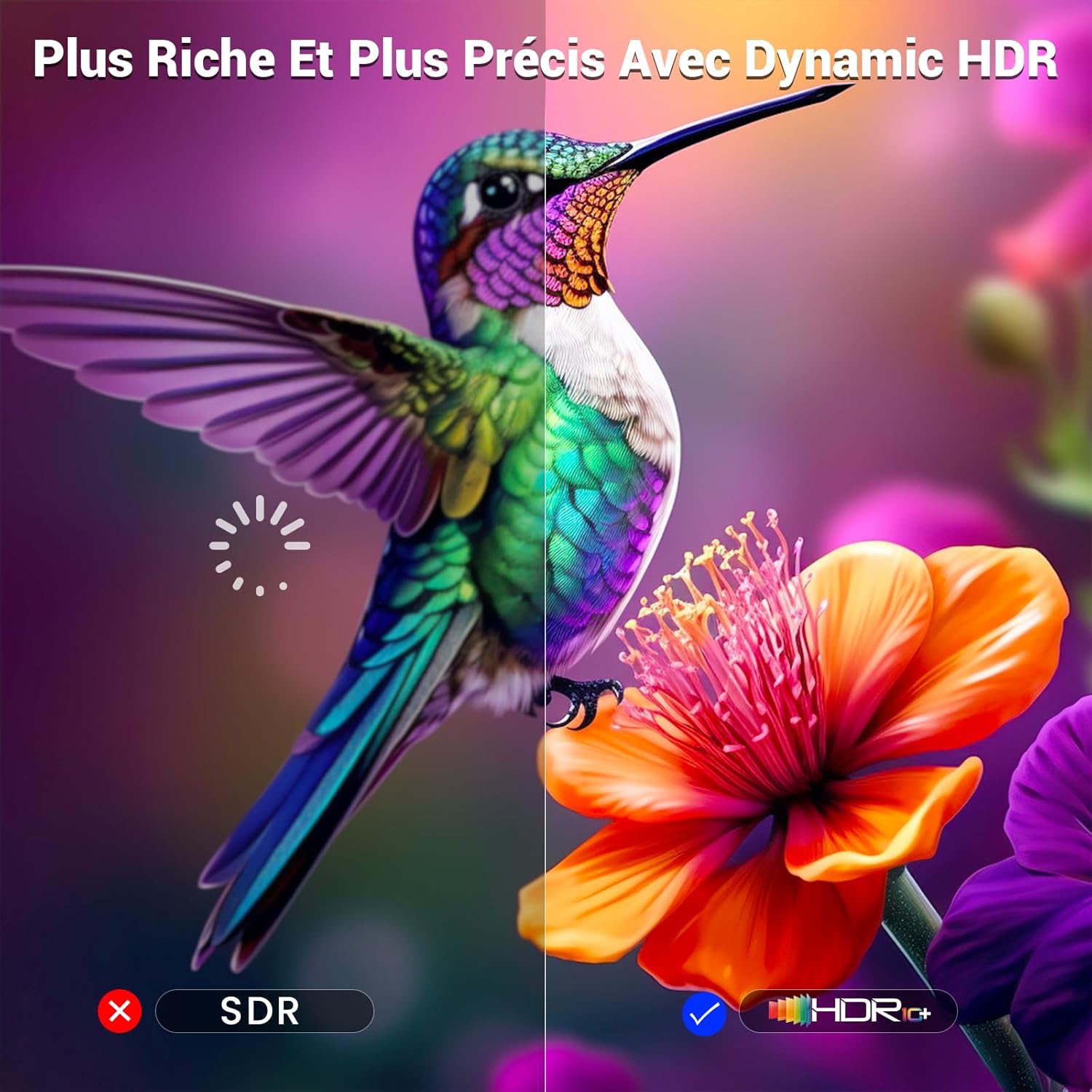 Thumbnail 4 de Câble HDMI 2.1 Etseinri 2 m certifié 48 Gbps (4K 240 Hz / 8K / eARC, HDR10+ & Dolby Vision)