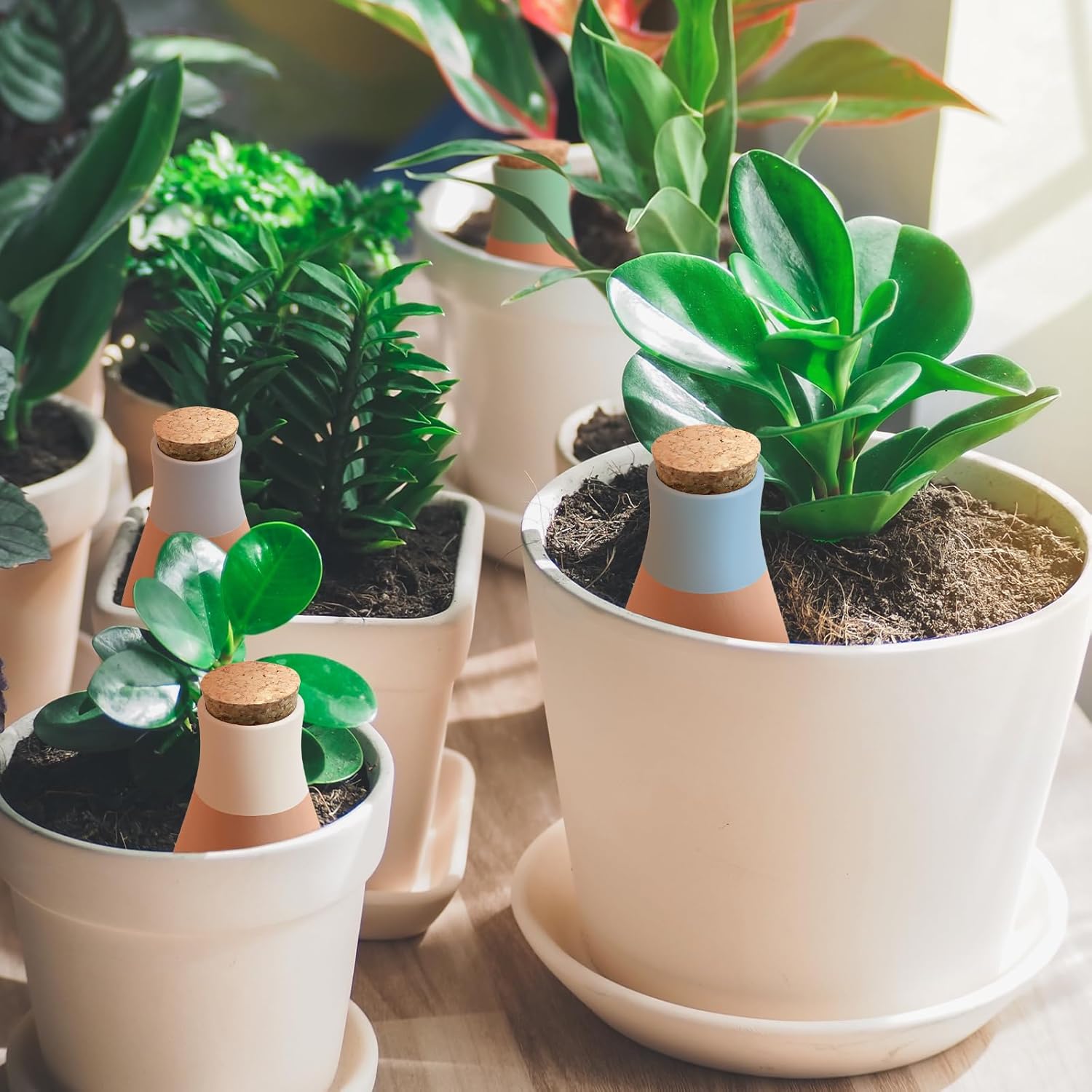 Thumbnail 3 de 4PCS Terracotta Self Watering Spikes – olla plant watering globes for slow-release irrigation