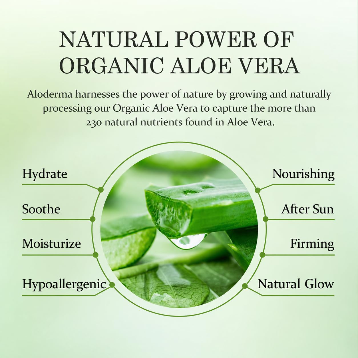 Detalle de Aloderma ALDG200 Aloe Vera Gel, 96% Organic Aloe, 7.05 oz