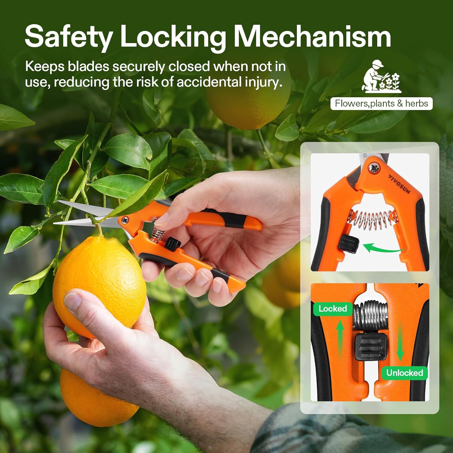 Thumbnail 3 de VIVOSUN confezione da 2 forbici da giardinaggio da 17 cm con manici ergonomici e rivestimento antiaderente
