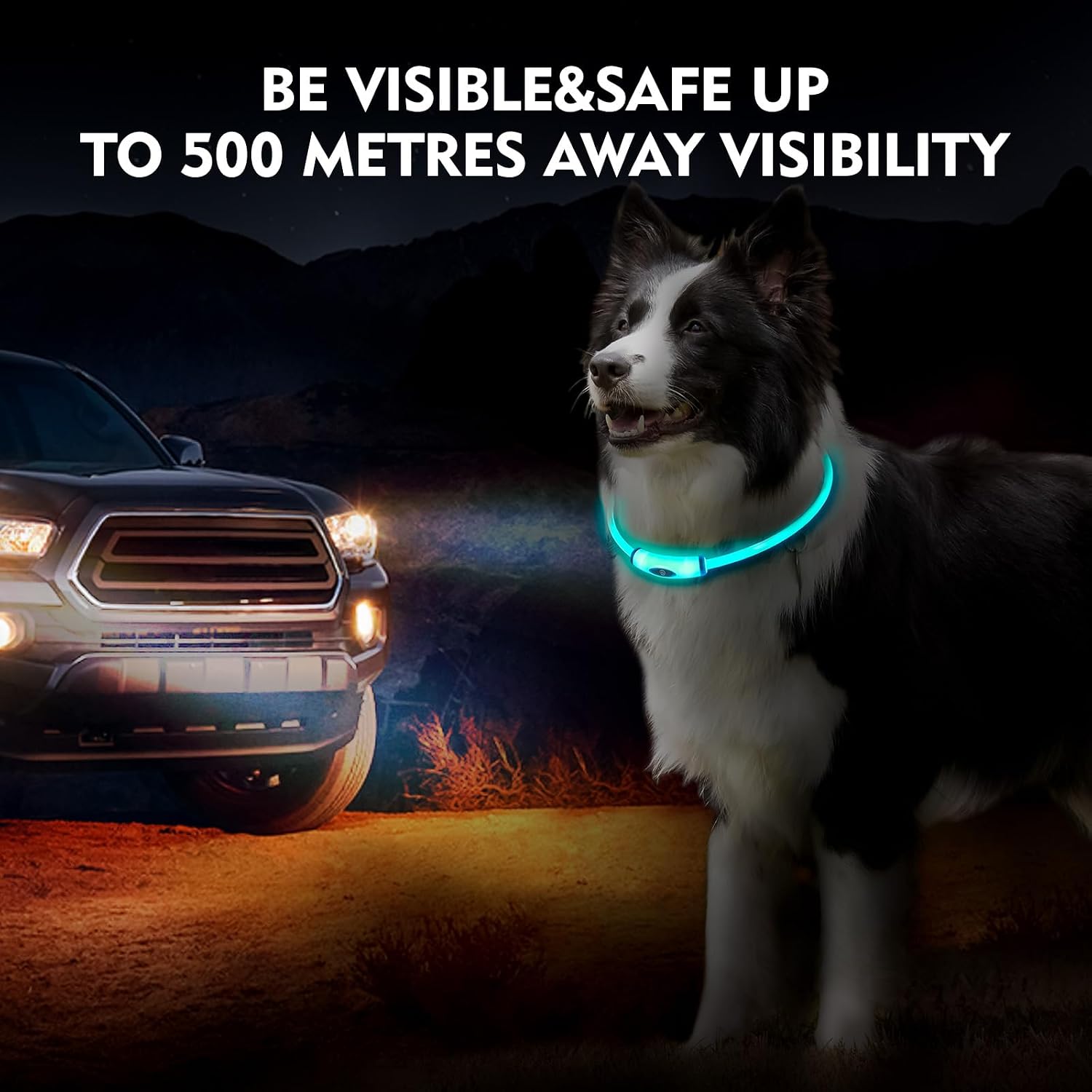 Detalle 2 de NOVKIN Lighted Dog Collar