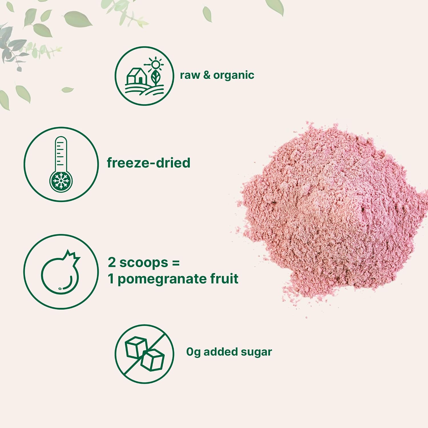 Detalle de Micro Ingredients Organic Pomegranate Juice Powder, 1 Pound, Freeze-Dried