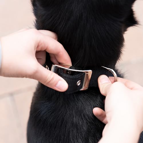 Thumbnail 3 de Ferplast Collar para Perro Nailon acolchado Talla grande 50–58 cm