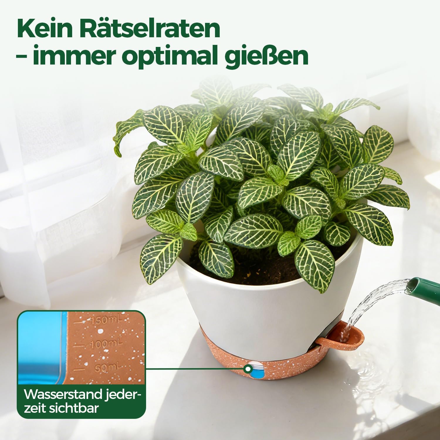 Detalle 2 de T4U Kräutertopf Set mit 15 cm