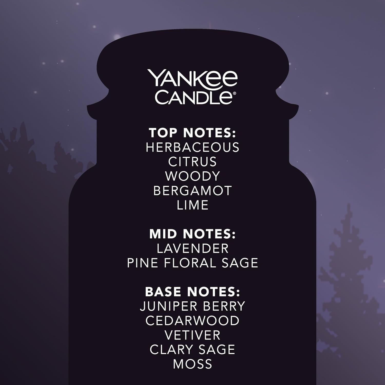 Detalle de Yankee Candle Midsummer's Night Large Jar 150 hrs 🕯