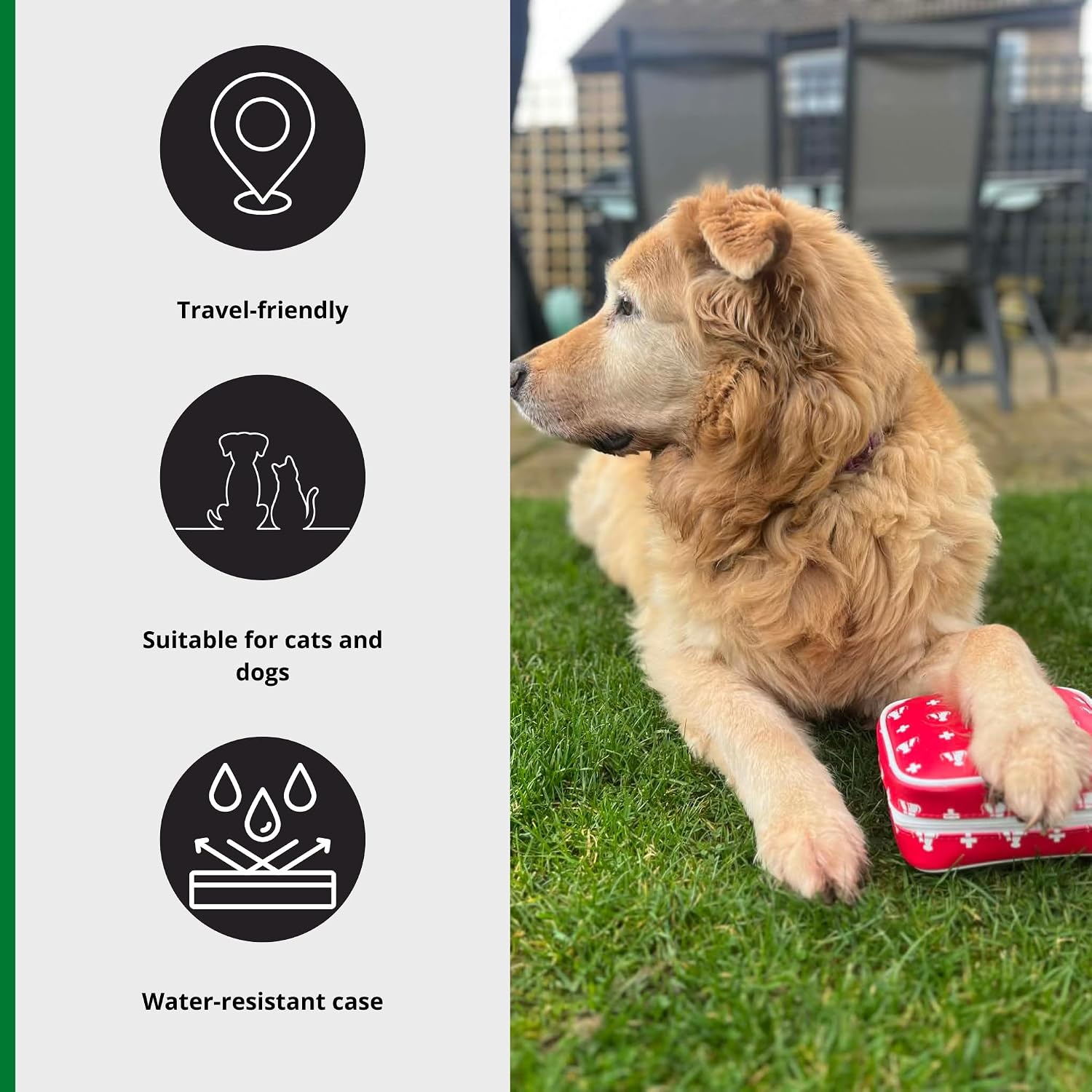 Thumbnail 1 de Safety First Aid Group Pet First Aid Kit – Suitable for Dogs, Cats and Other Small Animals