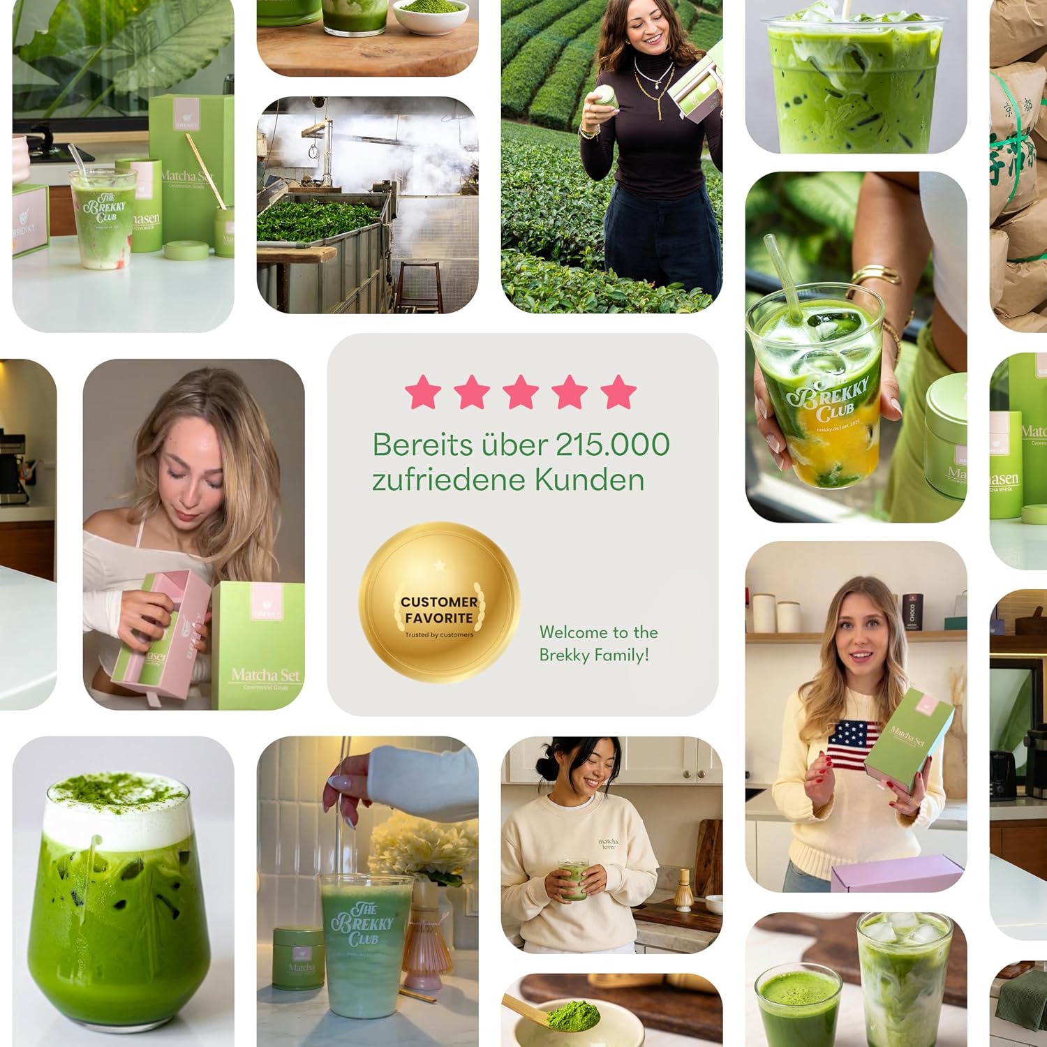 Detalle de BREKKY Matcha Set – Bio Grüntee aus Japan (Pulver, Bambusbesen & Chashaku) in Geschenkverpackung