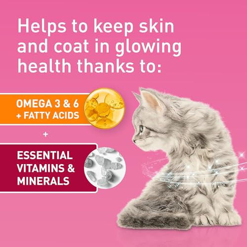Detalle 2 de Purina ONE Kitten Chicken Dry Cat Food 750g (Pack of 4) review