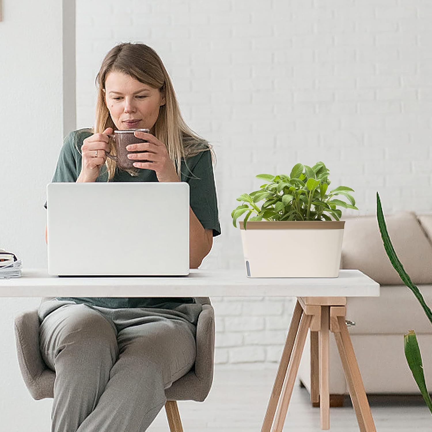 Thumbnail 3 de T4u Kräuter-Kasten 27 cm im 3er-Set