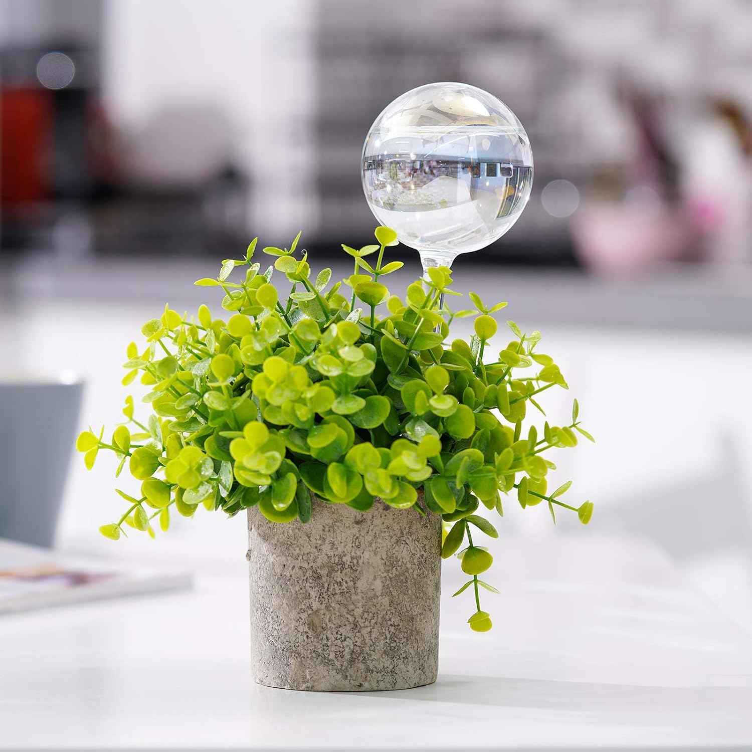 Thumbnail 6 de [2 PCS] Iridescent Rainbow Gradient Glass Self-Watering Spikes – Automatic Plant Waterers