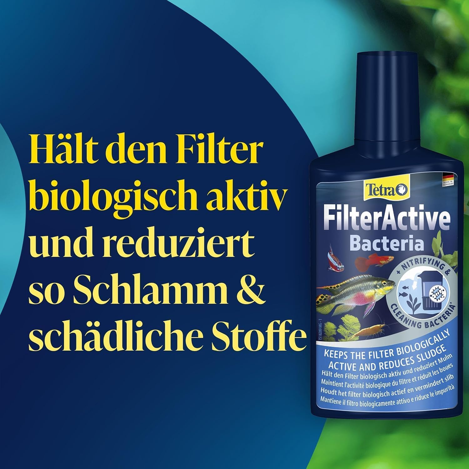 Thumbnail 2 de Tetra FilterActive Bacteria 2in1 – Starterbakterien + Schlammabbau für Süßwasseraquarien (250 ml)