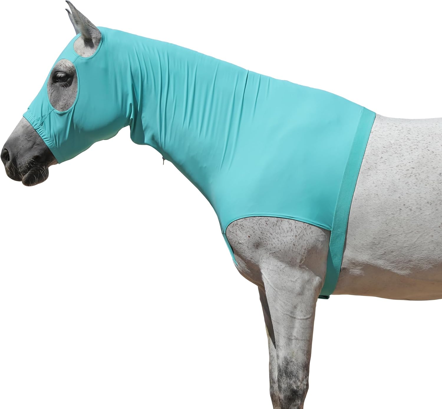 Horse Stretch Hood with Zipper Large