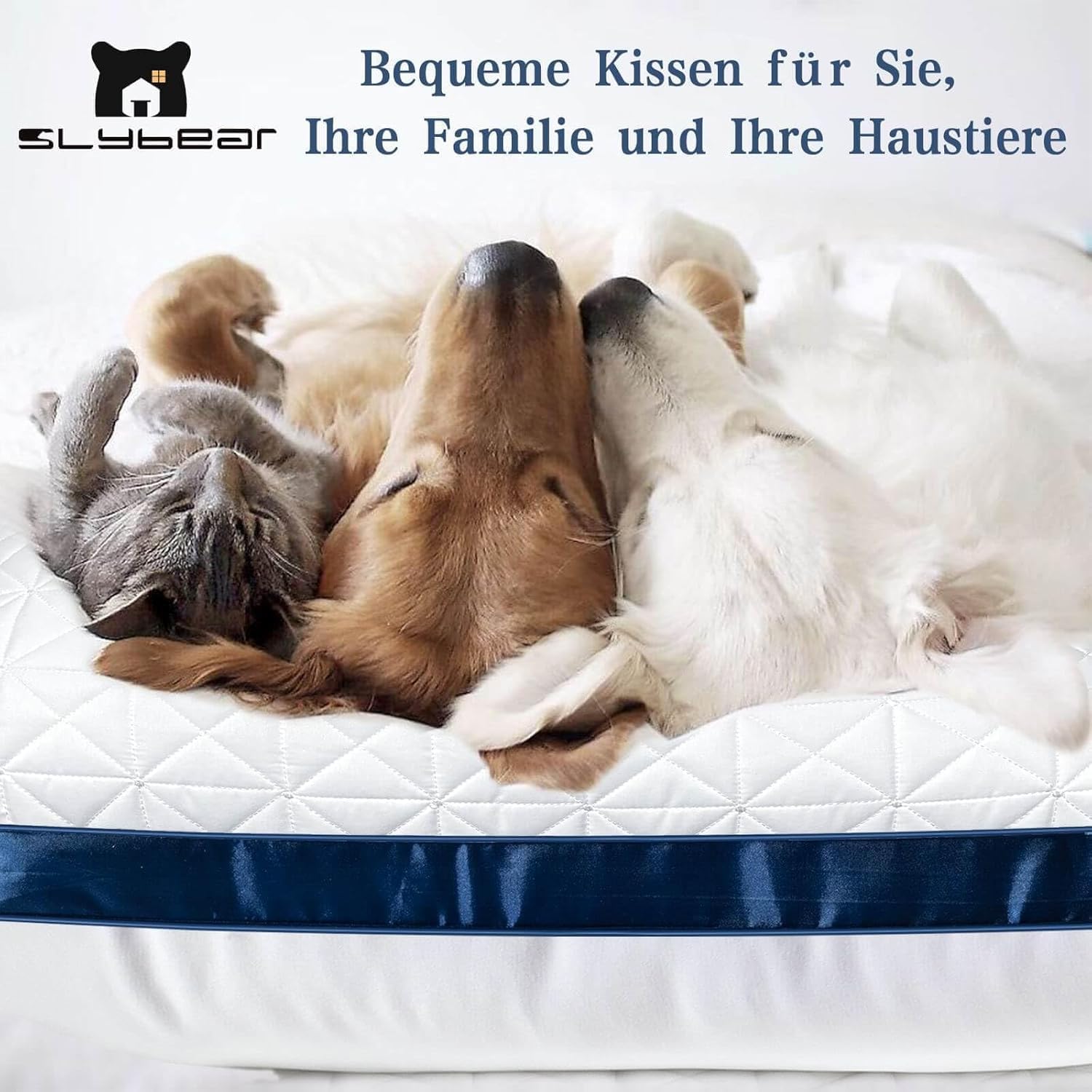 Thumbnail 4 de Slybear Kissen Kopfkissen 80x80 cm 2er Set – Orthopädisch, hypoallergen, Mikrofaserfüllung