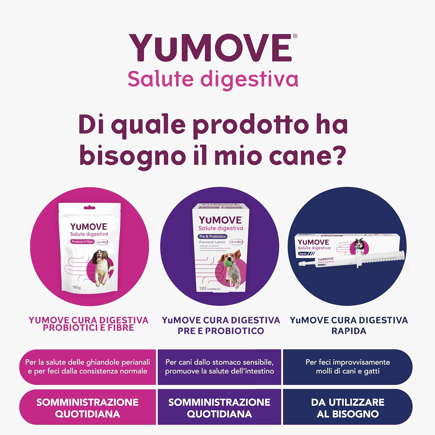Detalle 2 de YuMOVE Fermenti Lattici Cane & Probiotici – 120 compresse con 200 Mio CFU