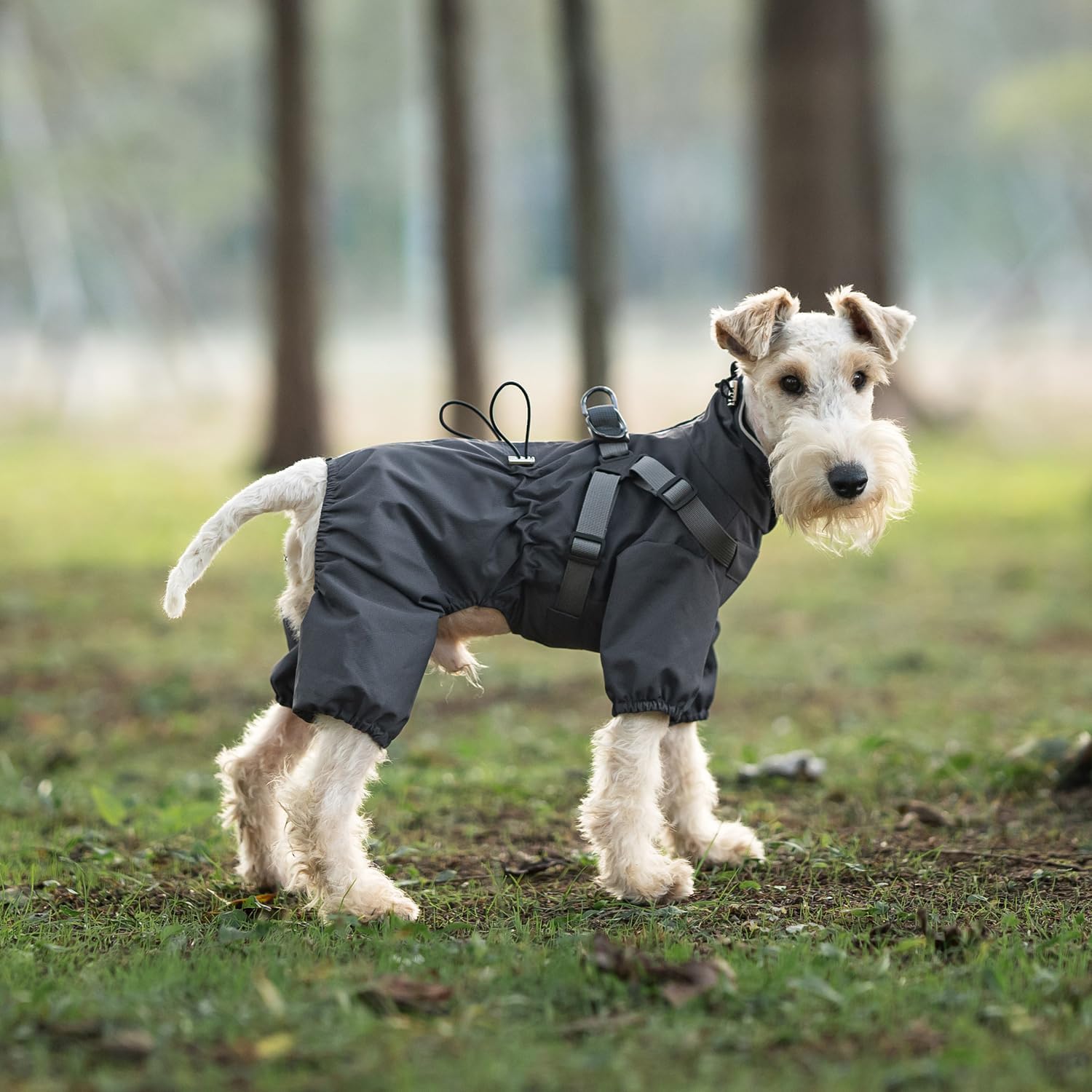 Detalle de Mile High Life Dog Raincoat, Size S