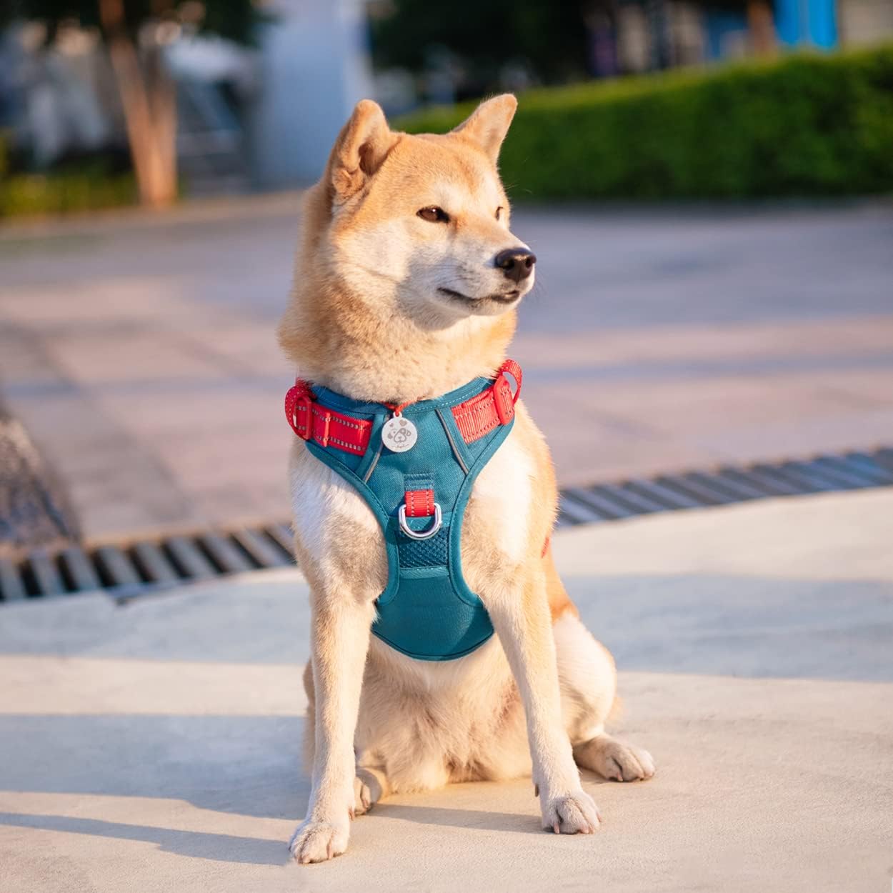 Thumbnail 6 de PHOEPET Dog Harness No Pull – Escape Proof Adjustable Vest (Teal Base, Red Straps, Size S)
