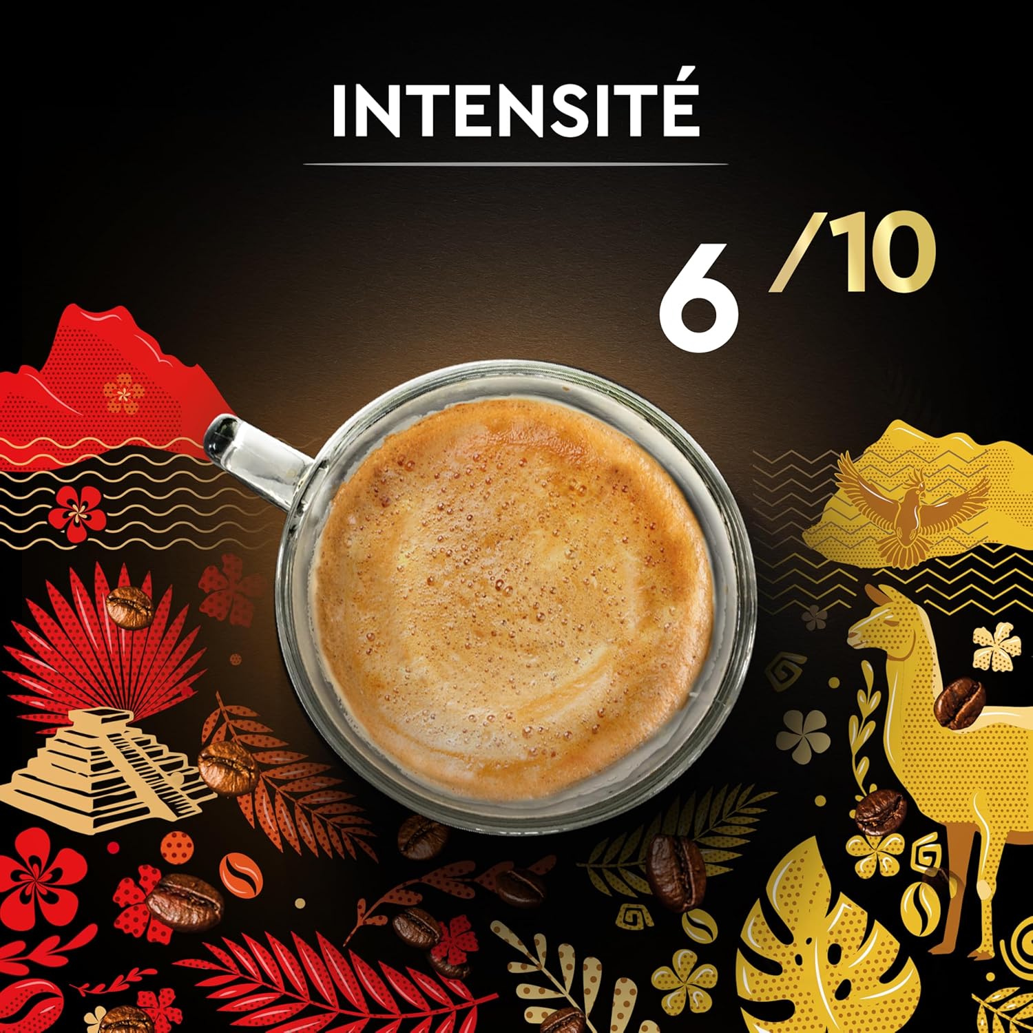 Detalle de Carte Noire Café Terres d'Arabica 4x500 g