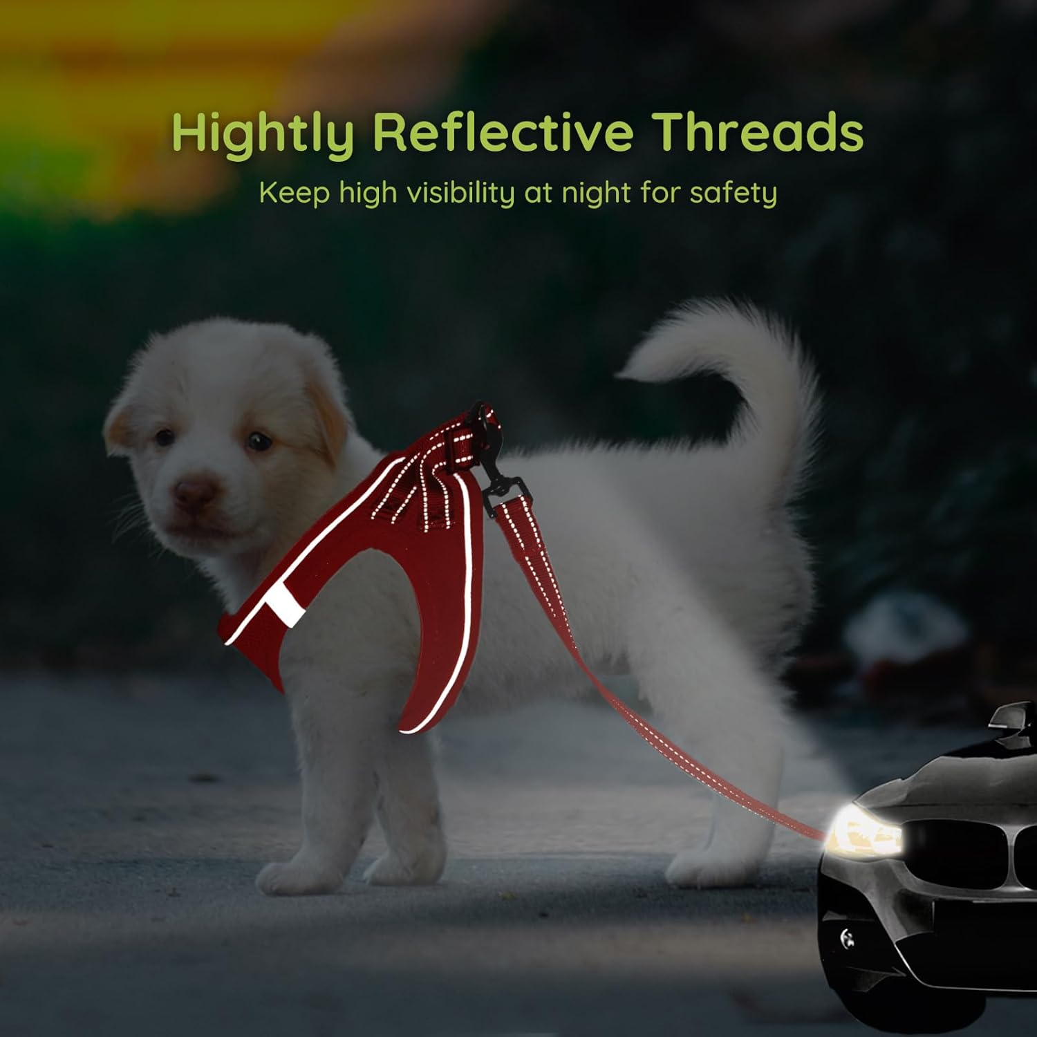 Thumbnail 4 de BELLA & PAL Hundegeschirr für kleine Hunde (Step-in, Air Mesh, reflektierend) – Rot, Größe M