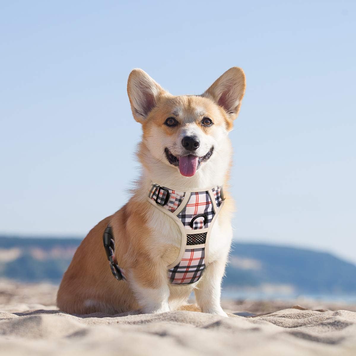 Detalle de PoyPet Keine Pull Hundegeschirr Front Reflektierend S